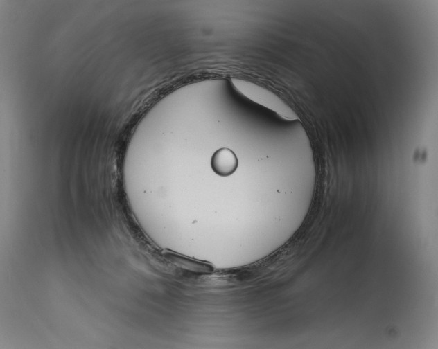 X0000114700320200911121546