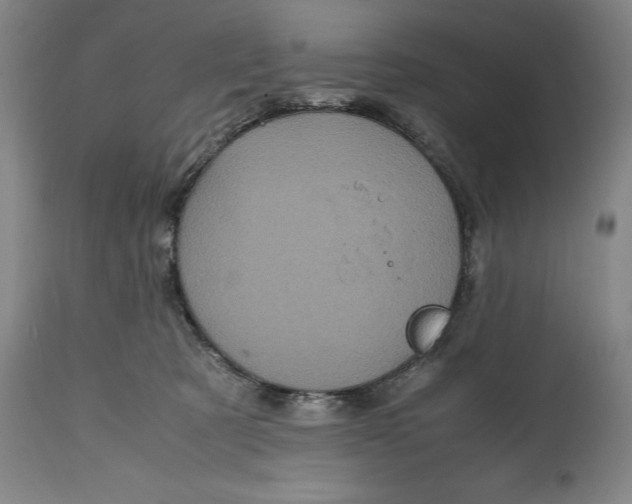 X0000114700321200911121546