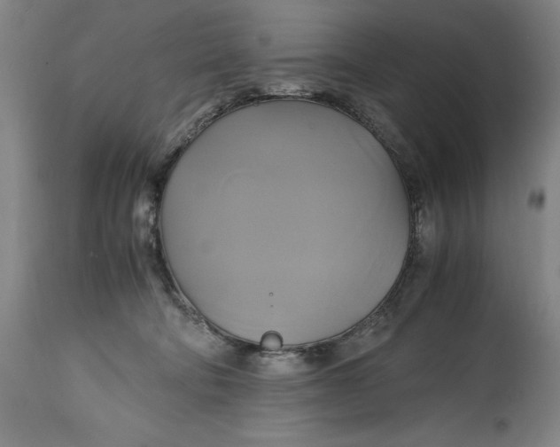 X0000114700322200911121546