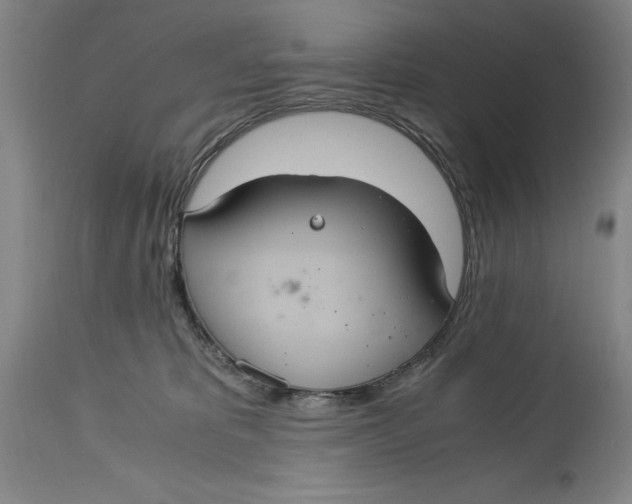 X0000114700325200911121546