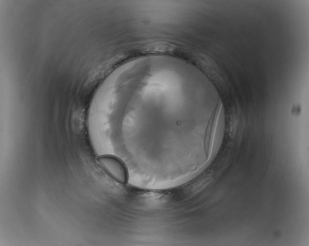 X0000114700326200911121546