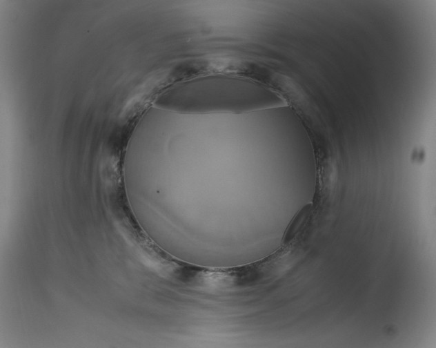 X0000114700327200911121545