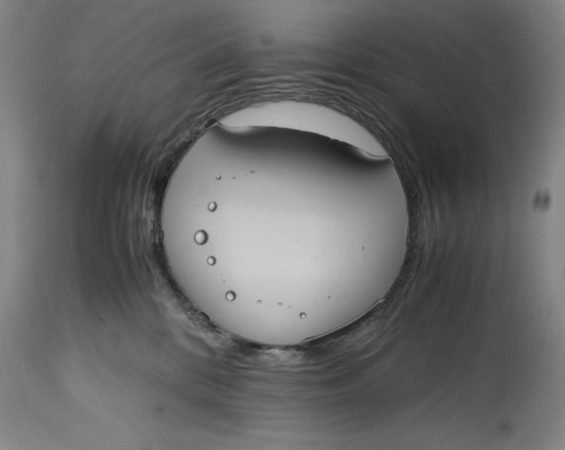 X0000114700328200911121545