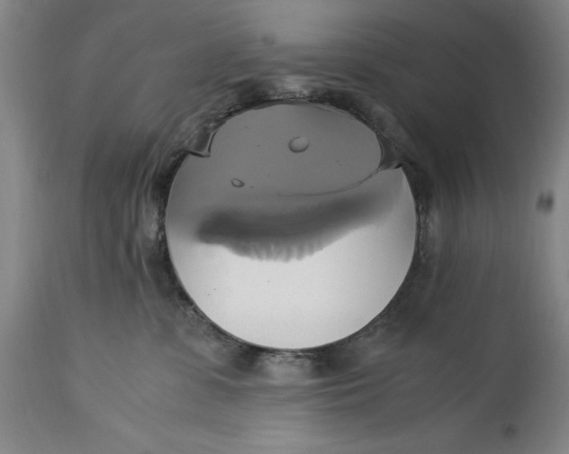 X0000114700331200911121545