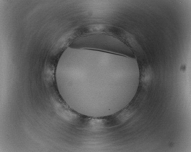 X0000114700332200911121545