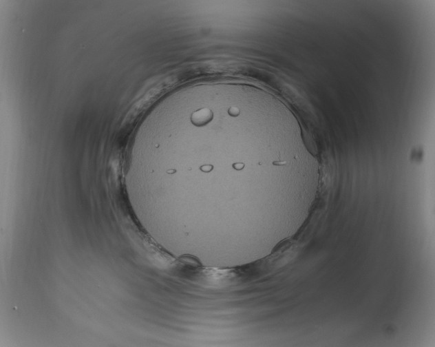 X0000114700333200911121545