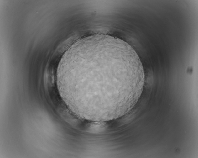 X0000114700334200911121545