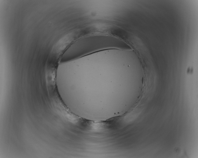 X0000114700336200911121545