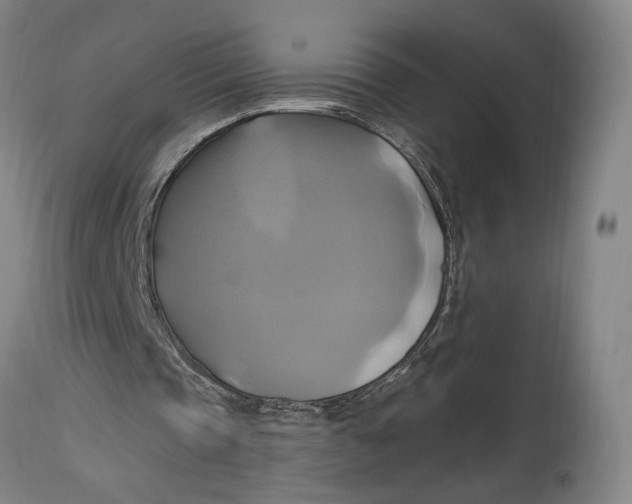 X0000114700337200911121545