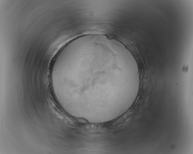 X0000114700338200911121545