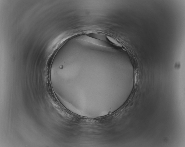 X0000114700339200911121545