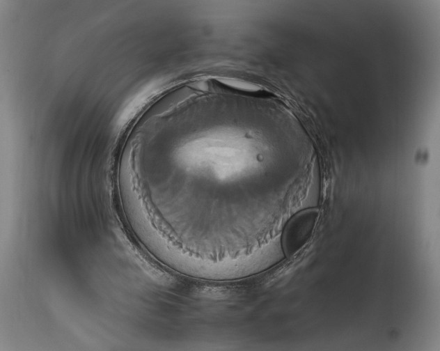 X0000114700341200911121545