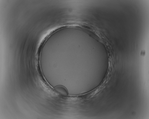 X0000114700342200911121545