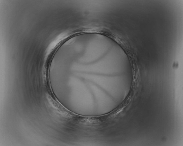 X0000114700343200911121545