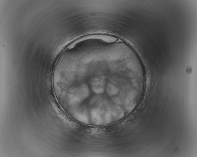 X0000114700345200911121545