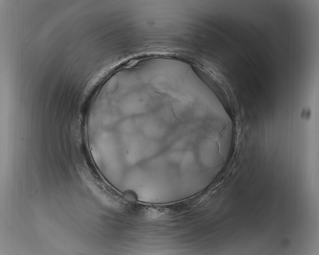 X0000114700346200911121545