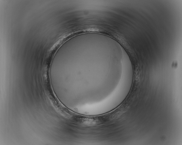 X0000114700347200911121545