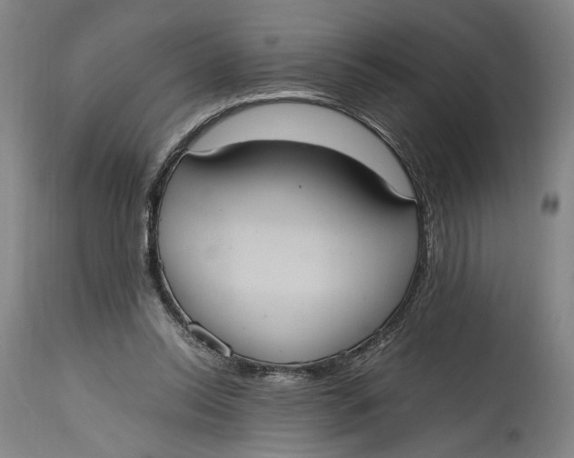 X0000114700350200911121545