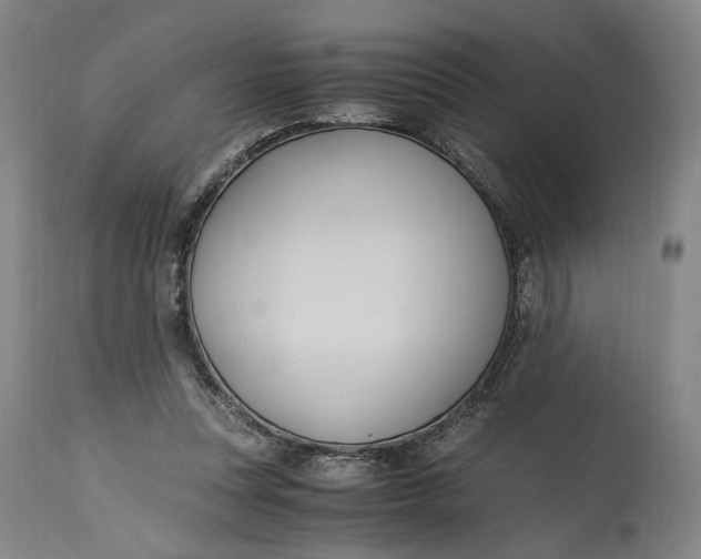 X0000114700351200911121545