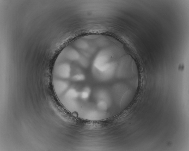 X0000114700354200911121545