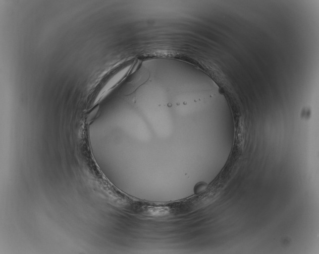 X0000114700355200911121545