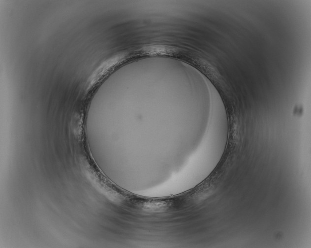 X0000114700357200911121545