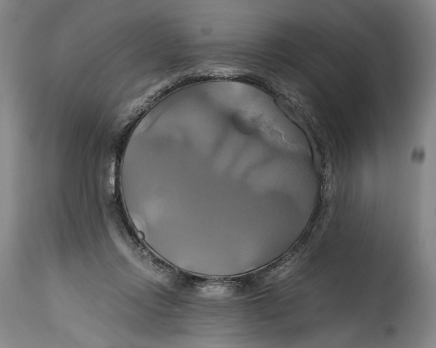 X0000114700358200911121545