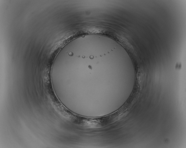 X0000114700359200911121545