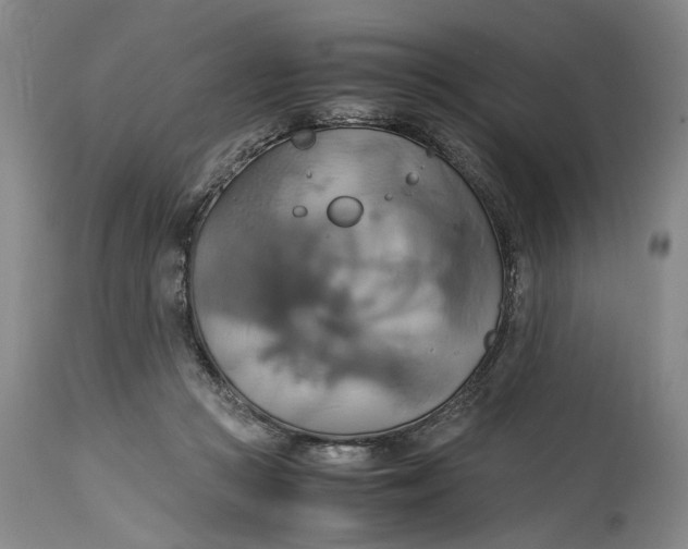 X0000114700361200911121545