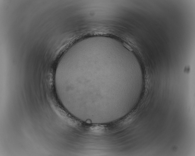 X0000114700362200911121545