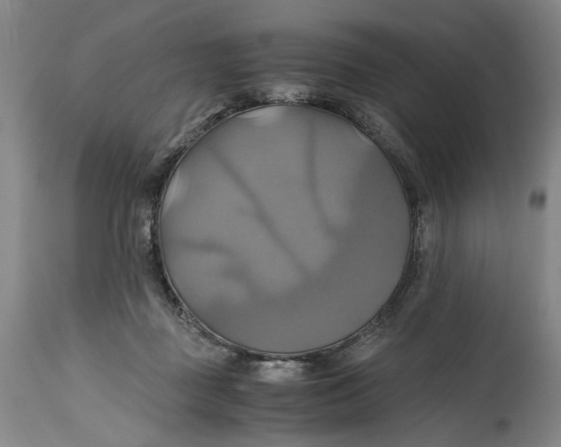 X0000114700363200911121545