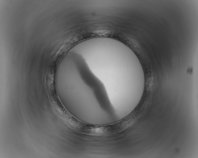 X0000114700365200911121545