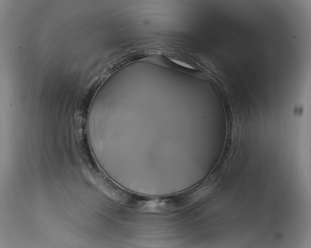 X0000114700366200911121545