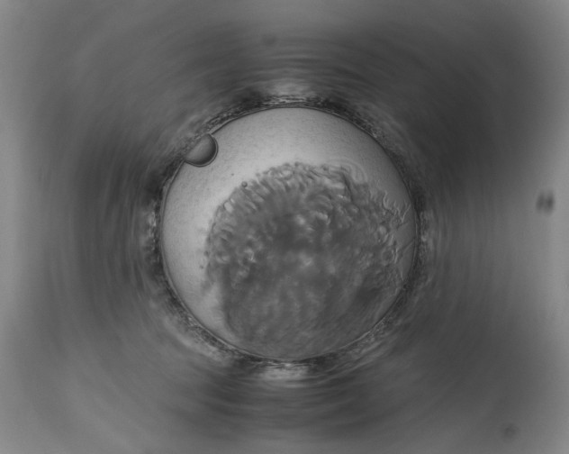 X0000114700369200911121545