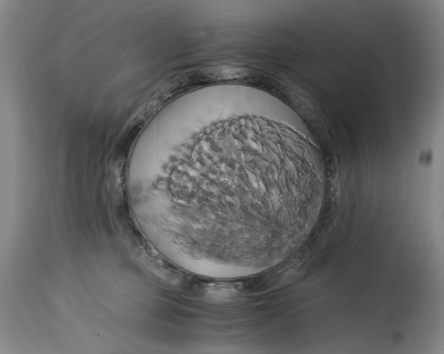 X0000114700373200911121545