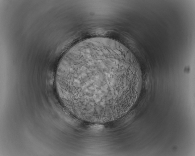 X0000114700374200911121545