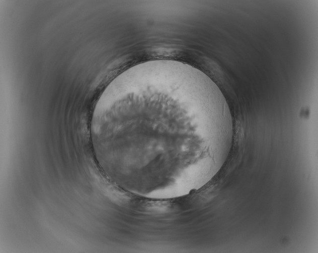 X0000114700377200911121545