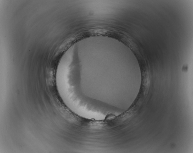 X0000114700378200911121545