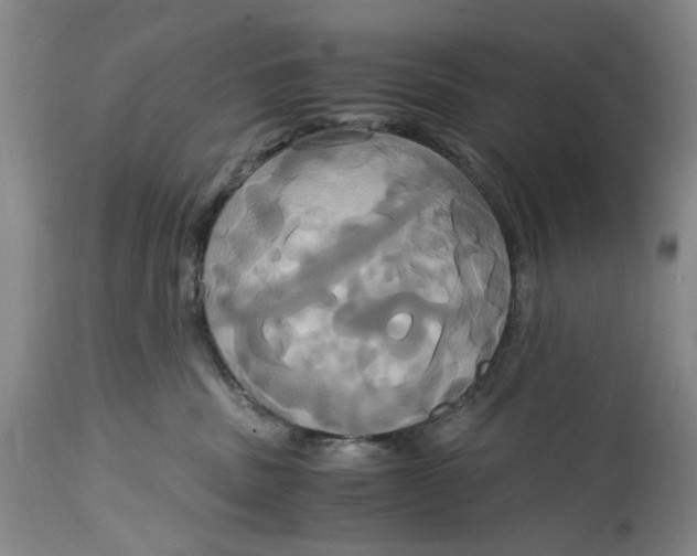 X0000114700379200911121545