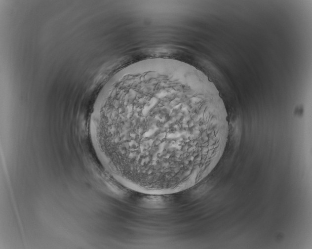 X0000114700381200911121545