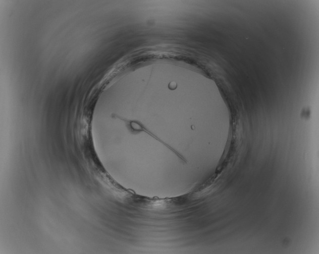 X0000114700382200911121545