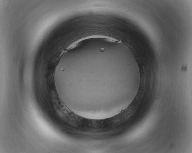 X0000114700383200911121545