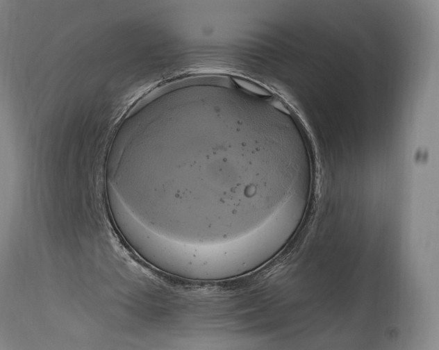 X0000114700385200911121545