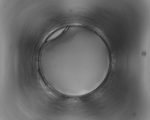 X0000114700386200911121545