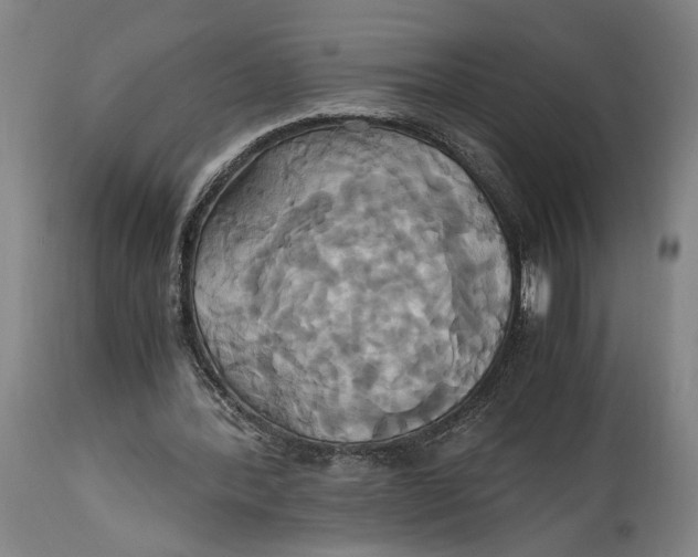 X0000114700388200911121545