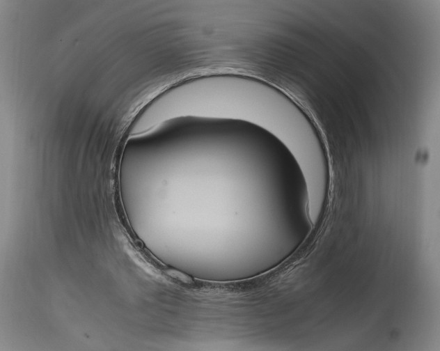 X0000114700389200911121545