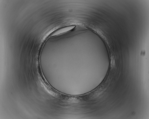 X0000114700390200911121545