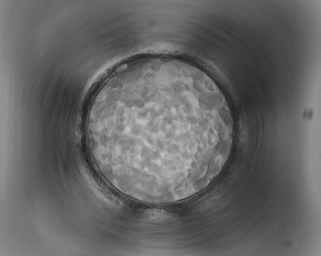 X0000114700392200911121545