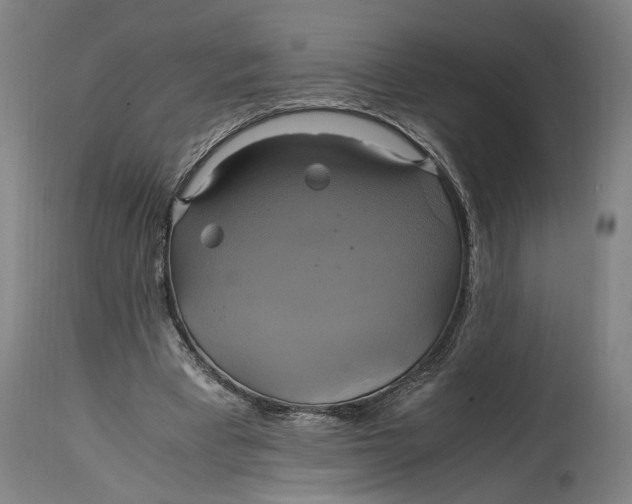 X0000114700393200911121545