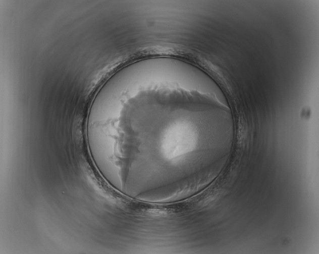 X0000114700394200911121545